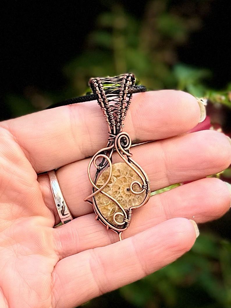 Ammonite in Copper