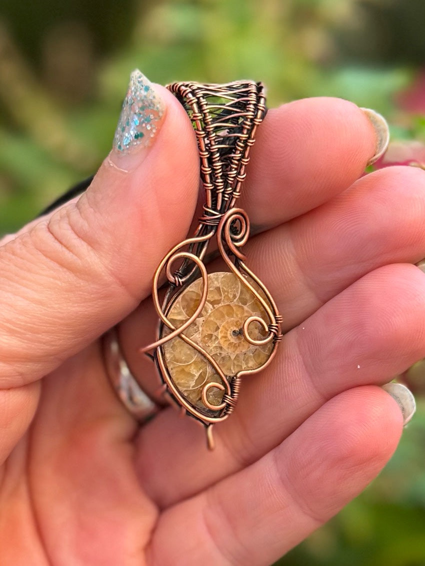 Ammonite in Copper
