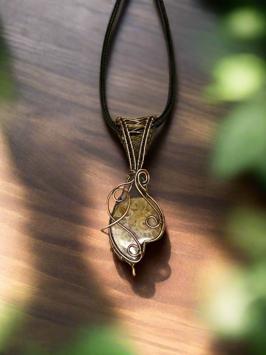 Ammonite in Copper