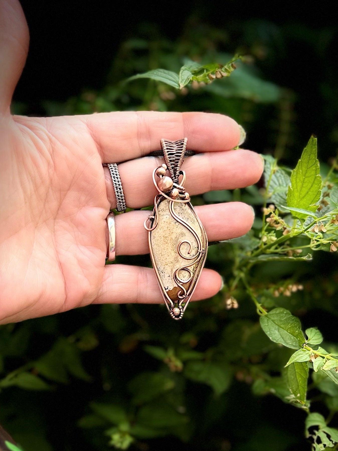 Picture Jasper in Copper